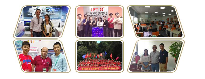 LFT-G® PA66 LGF33.jpg